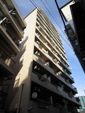 TIGER MINAMIAZABU