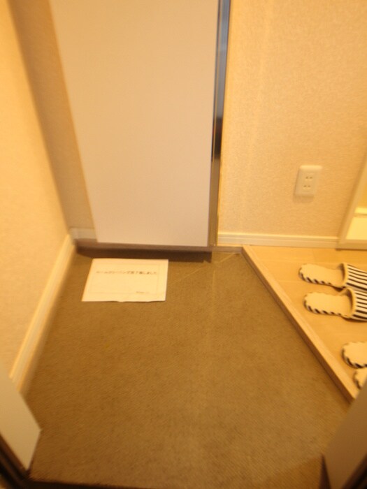 物件内観写真15　(玄関)