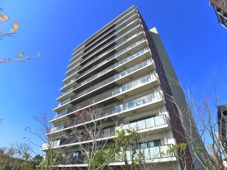 シティータワー金町（８０５）外観写真