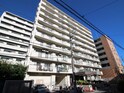 コスモ横浜吉野町（１０１）