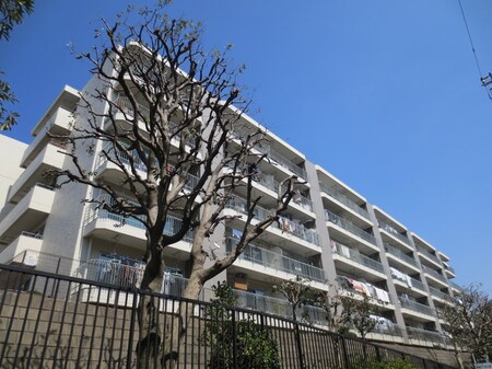 第２ウィンザ－ハイム鷺沼(504)外観写真