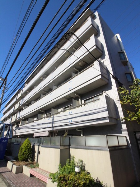 津田沼ﾀﾞｲｶﾝﾌﾟﾗｻﾞCity(203)外観写真