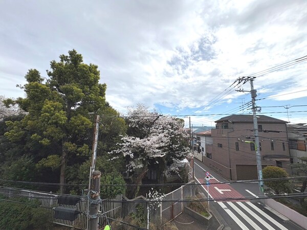室内からの展望