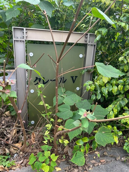 物件外観写真5　(周辺環境)