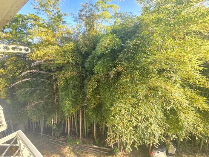 物件内観写真15　(室内からの展望)