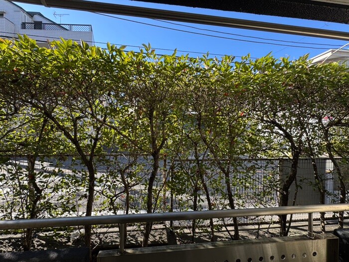 物件内観写真17　(室内からの展望)