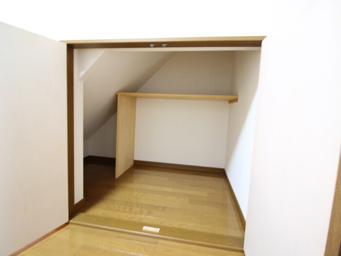 物件内観写真21　(収納)