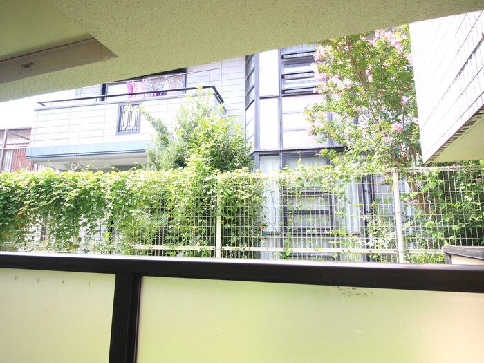 物件内観写真16　(室内からの展望)