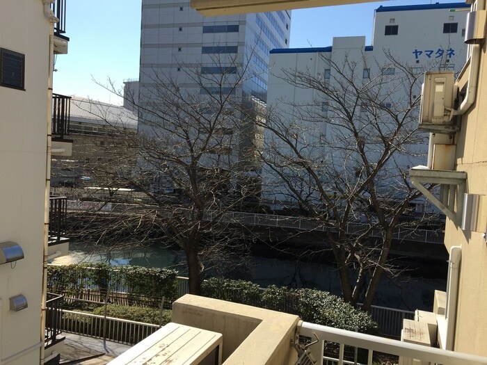 物件内観写真9　(室内からの展望)