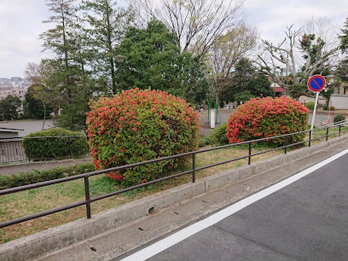 梅が丘第三公園