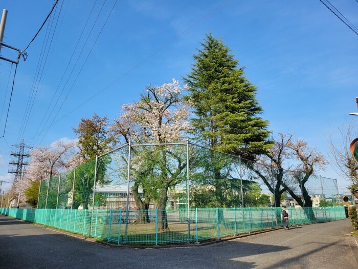 物件外観写真6　(周辺環境)