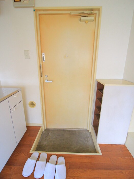 物件内観写真20　(玄関)