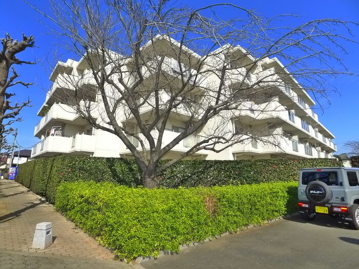 物件外観写真2　(周辺環境)