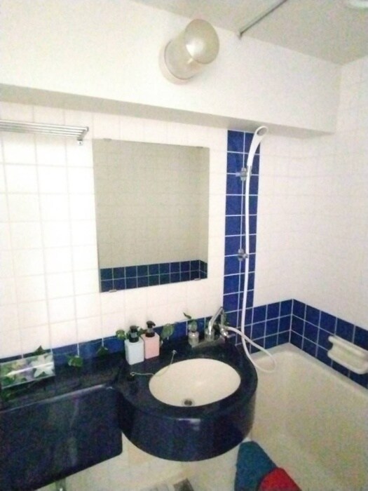 物件内観写真10　(洗面)