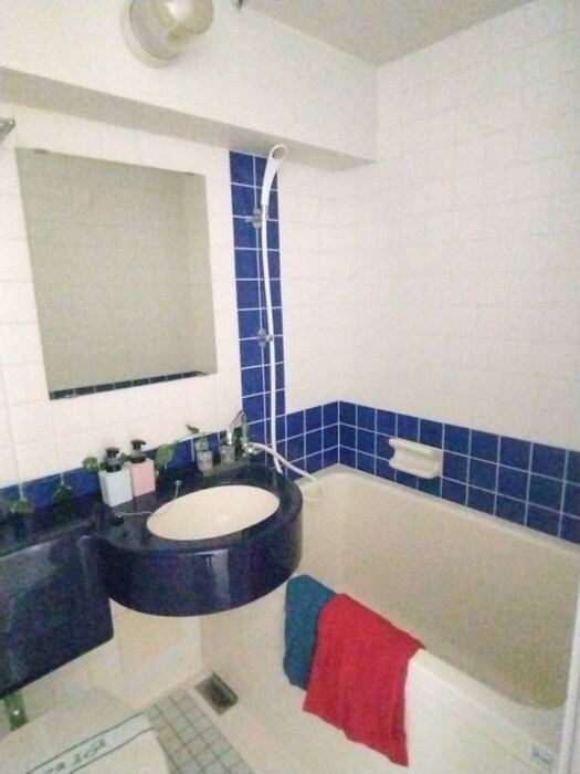 物件内観写真12　(洗面)