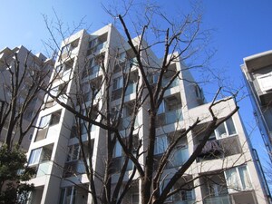 ワイライフ二子玉川（602）外観写真