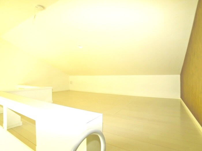 物件内観写真19　(ロフト)