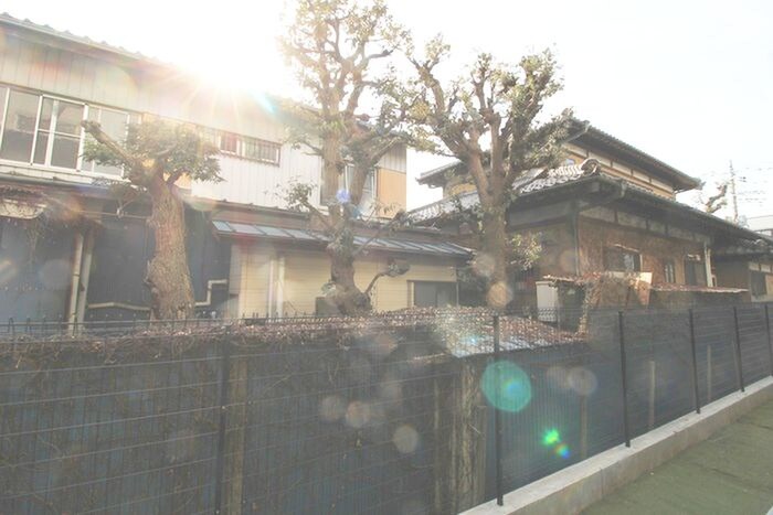 物件内観写真20　(室内からの展望)