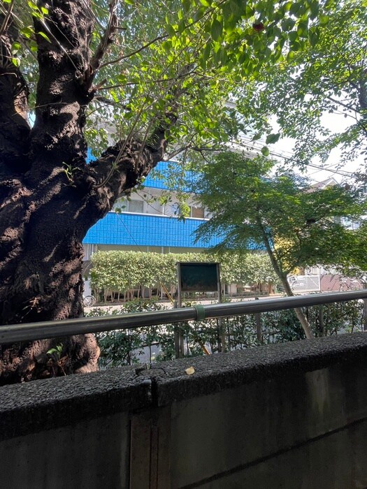 物件内観写真16　(室内からの展望)