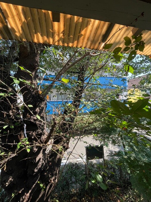 物件内観写真22　(周辺環境)