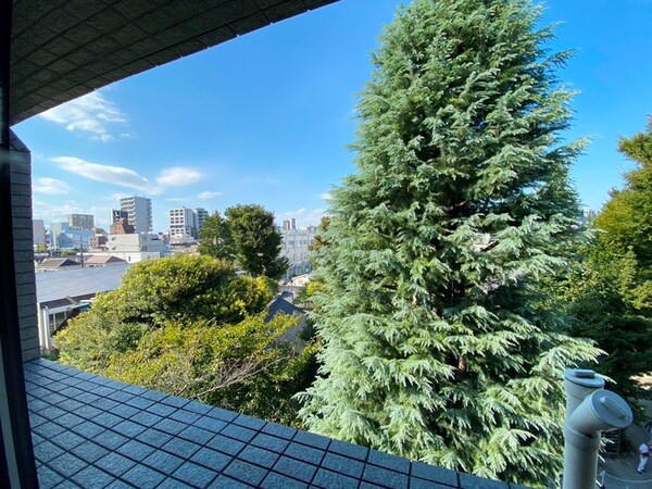室内からの展望
