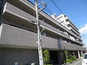 アムール森野