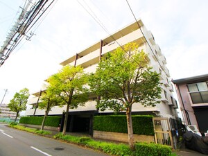 サングレイス十日市場（５０８）外観写真