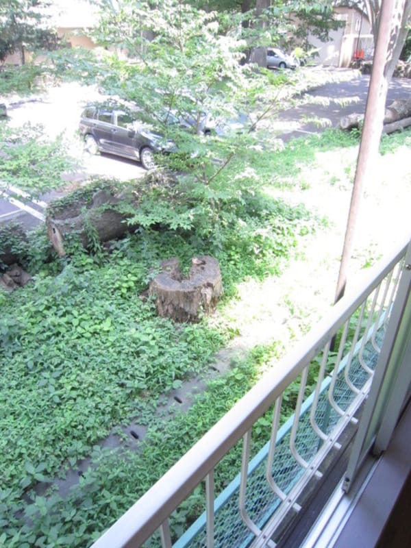 室内からの展望