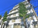 トップ金町第６（５０３）