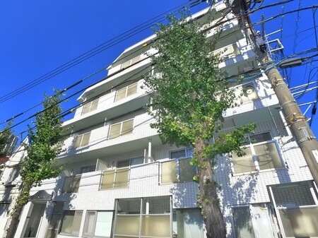 トップ金町第６（５０３）外観写真