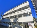 スカイコート金町第3(404)