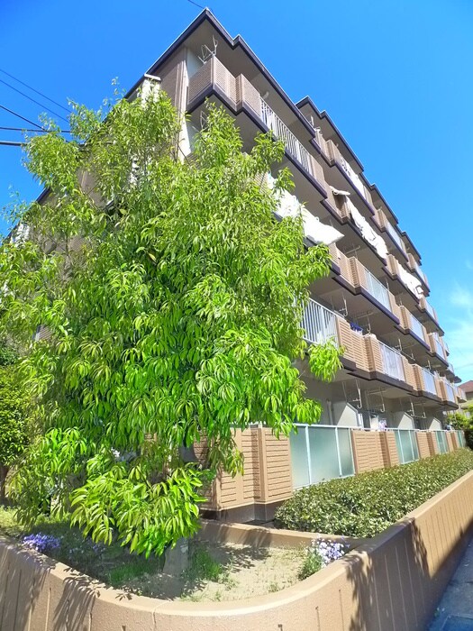 物件外観写真6　(周辺環境)