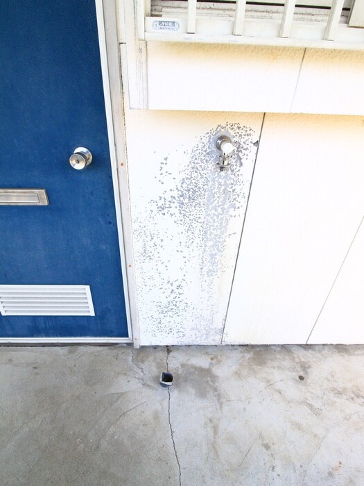 物件内観写真14　(洗濯機置場)