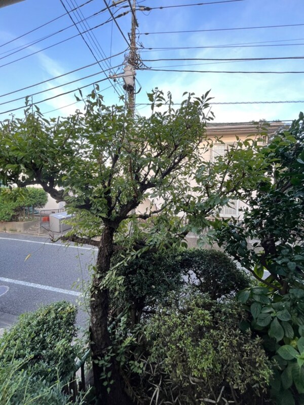 室内からの展望