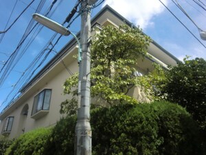 マンション太田外観写真