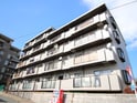 メイフラワ－壱番館
