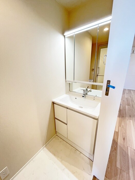 ＭＡＩＳＯＮ　ＥＸＣＩＡの洗面