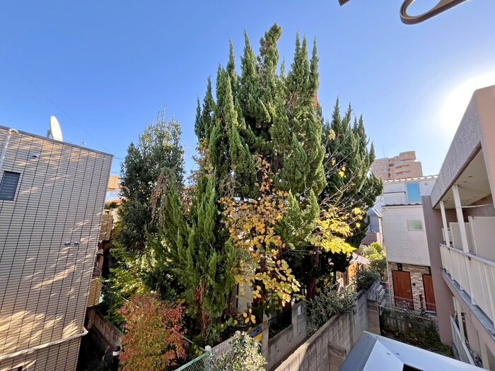 ＭＡＩＳＯＮ　ＥＸＣＩＡの室内からの展望