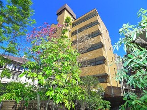 ﾗｲｵﾝｽﾞﾏﾝｼｮﾝ五反野第6（603）外観写真