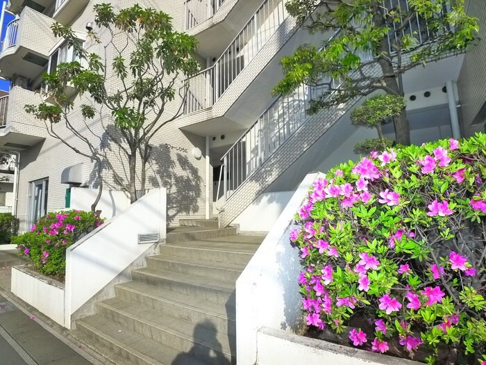 物件外観写真3　(エントランス部分)