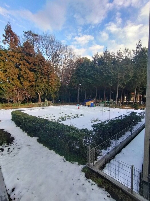 物件内観写真21　(室内からの展望)