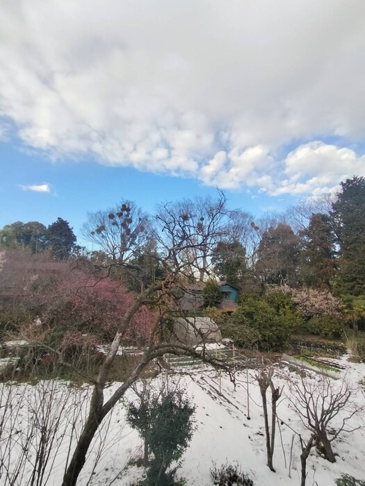 物件内観写真21　(室内からの展望)