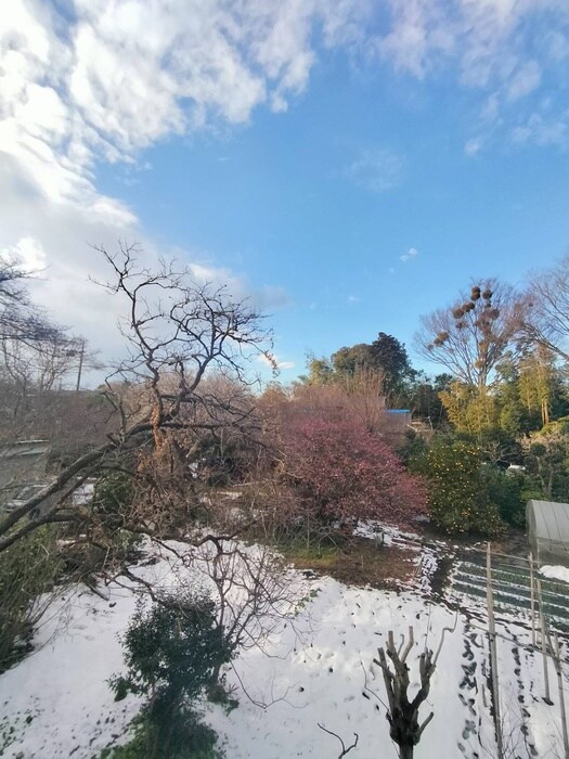 物件内観写真21　(室内からの展望)