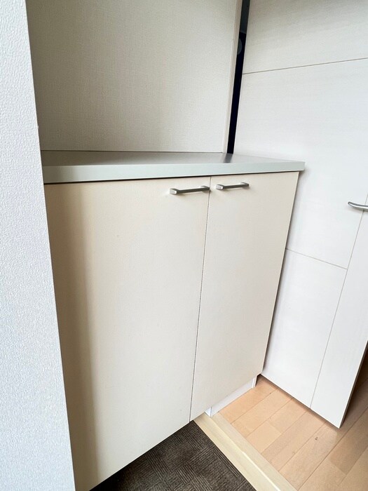 物件内観写真19　(靴箱)