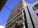パークハイム駒形（703）
