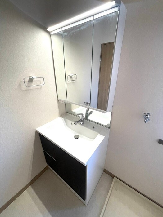 カーサヴェルデ(201)の洗面