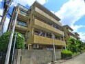 ﾗｲｵﾝｽﾞﾏﾝｼｮﾝ市川第6（303）