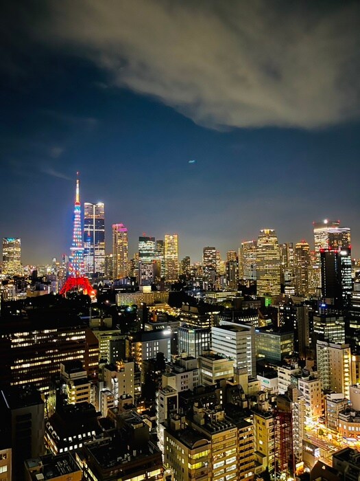 物件内観写真16　(室内からの展望)