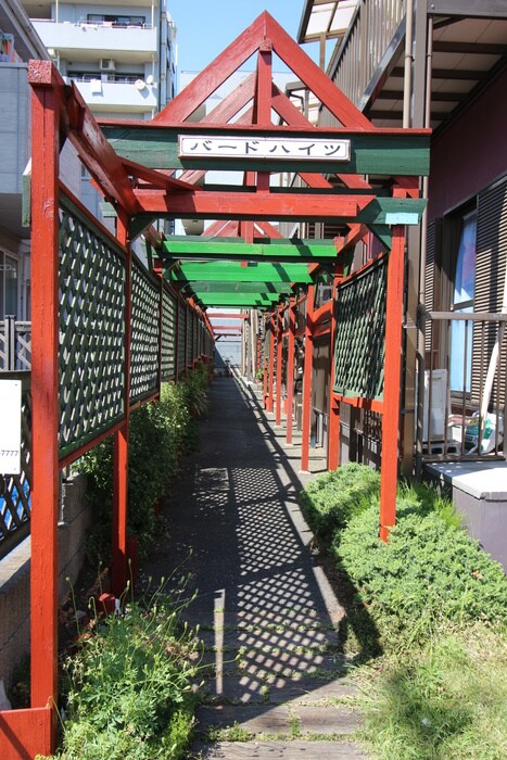 物件外観写真6　(外観写真)