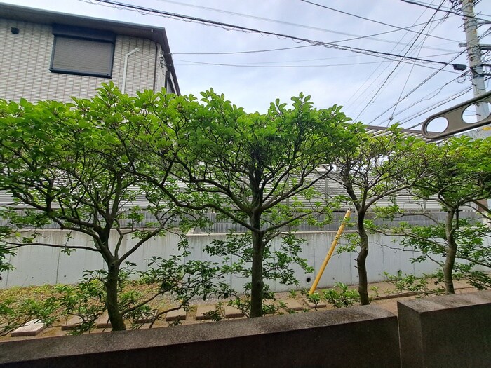 物件内観写真19　(室内からの展望)